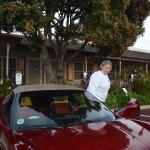 CambriaCN_0182 (November 06, 2016)